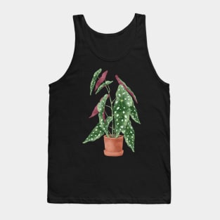 Begonia maculata plant | Polka dot plant Tank Top